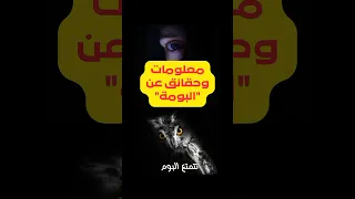 أسرار البومة رحلة إلى عالم طائر الليل الغامض Shorts 
