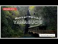 What to do in Yamaguchi Prefecture ? | Explore Japan