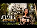 Atlantis Brew Pub Koramangala Bangalore HSR ka Most Viral Brew Pub Tour