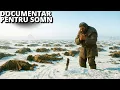 Lagu Iarna Preistorică Care a Ucis 99% Dintre Toți Oamenii | Documentar Pentru Somn