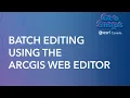 Batch Editing using the ArcGIS Web Editor