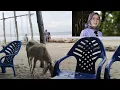 Download Lagu Lagu Melayu Terbaru Yollanda Ft. Imam  \