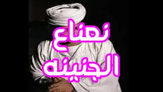 نعناع الجنينه الأصلية سيد الركابى  نعناع الجنينه الأصلية سيد الركابى