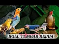 Lagu sepesial lagu pilihan | Kombinasi ROLL tembak tajam dan kasar