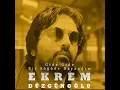 Gide Gide Bir Söğüde Dayandım - Ekrem Düzgünoğlu