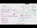 Day 1 - Exam Review Programming Paper 2 Cambridge IGCSE Computer Science 0478