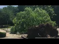 July 20 2019 Downburst Storm Damage in Jenison MI
