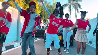 Midee Simba Vamos Official Dance Video 