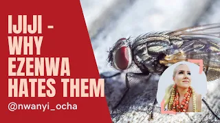 lets talk jiji igbo pronunciation and the other side of ezenwa