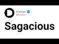 Sagacious Meaning In English