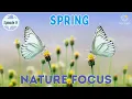 Spring Nature Focus for Kindergarten EYFS Episode 9