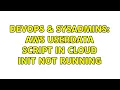 DevOps SysAdmins AWS Userdata script in Cloud Init not running
