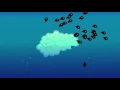 Frog life cycle animation