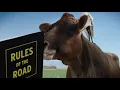 RXO Ad Campaign Asset-Light Transportation