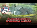Download Lagu Membongkar Motif Pembunuh Kepala Cabang BRI | AKIM tvOne