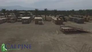 CALPINE CONTAINERS INC