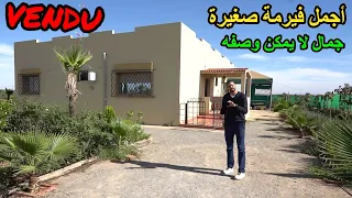 حصريا أجمل فيرمة صغيرة شفتيها مع منزل فخم وتجهيزات رائعة بمنطقة جميلة تيفلت 