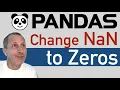 Pandas Change NaN to Zeros in DataFrame