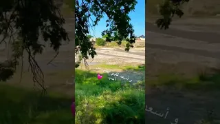 دعاء للحبيب اذا اخبات أحد فادع له حالات واتس اسلامية داغستان الخير 