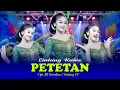 Download Lagu Petetan - Lintang Kairo ( Sinden Muda ) | Official Live Music | OM. NIRWANA | MAESTRO MUSIC
