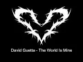 David Guetta - The World Is Mine (Original Music)
