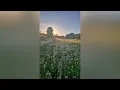 forever - charlotte day wilson & snoh aalegra ( slowed perfectly ) 