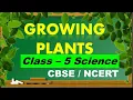 Class-5 CBSE Science Growing Plants Chapter-1 NCERT Solutions with worksheet link in desc