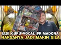 Lagu MAKIN  BUAT REBUTAN || GURU VOCAL JENGGOT JAVA CUMA SEGINI HARGANYA !!! 