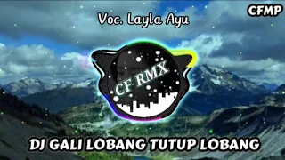 dj gali lobang tutup lobang h rhoma irama slow remixduth by cf rmx