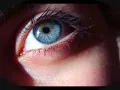 Dedicato a te... L'amour toujours - Sagi Rei