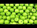 Koffi Olomide - Pomme Verte