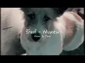รักแท้ (True Love) - Nunew | Cover By Thun