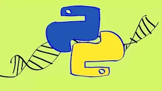 Optimizing Numerical Calculations in Python