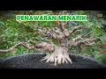 Download Lagu \