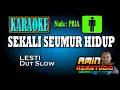 Download Lagu SEKALI SEUMUR HIDUP || LESTI || KARAOKE || Nada PRIA