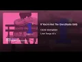 If You're Not The One (Radio Edit)