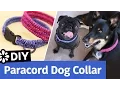 DIY Paracord Dog Collar Small Medium Large Size Sea Lemon