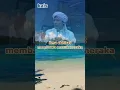 ilmu akhirat membawa masuk neraka_habib rifky alydrus #habibrifkyalaydrus