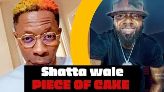 shatta wale piece of cake official video vira reaction 