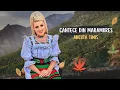Download Lagu Ancuta Timis ✗ Cantece Din Maramures ❤️ COLAJ De Petrecere 2023