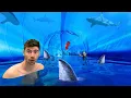 LARGEST SHARK TUNNEL - 5 000 000 Liter AQUARIUM