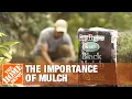 The Importance of Mulch Mulching Your Yard The Home Depot
