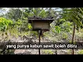 Download Lagu Sampingan bagi yang punya kebun sawit