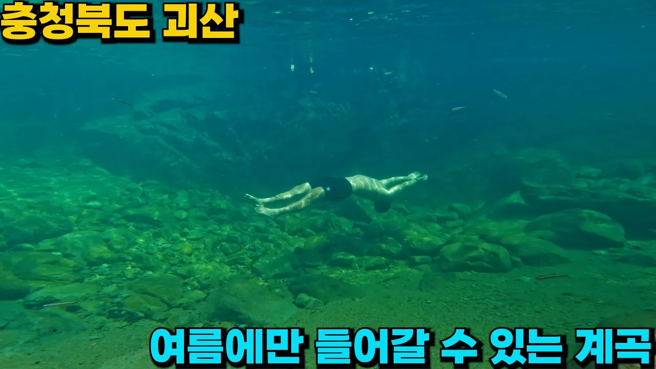 [수심 2.5m] 역대급 수질에 아름다운 배경 스노쿨링하기 좋은 충북 괴산 쌍곡계곡 サムネイル