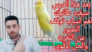 ذكر الكناري والحسون لايغرد ماذا أفعل كي اجعله قنبة في التغريد دندنها