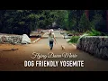 155 Dog-Friendly Spots in Yosemite National Park - Best PET-FRIENDLY Hikes Activities