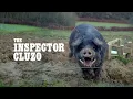 Download Lagu THE INSPECTOR CLUZO - CATFARM