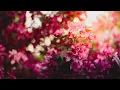 La Niña de Tus Ojos (Letra) - FIRMEZA   ❣️