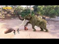 Download Lagu Baalveer ( बालवीर ) Full Episode 455 || Dev Joshi, Karishma Tanna