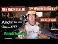 Download Lagu Membeli /Memilih Trotolan ANIS MERAH Biar nga Nyesel , ada Harga ada Kwalitas Jaminan